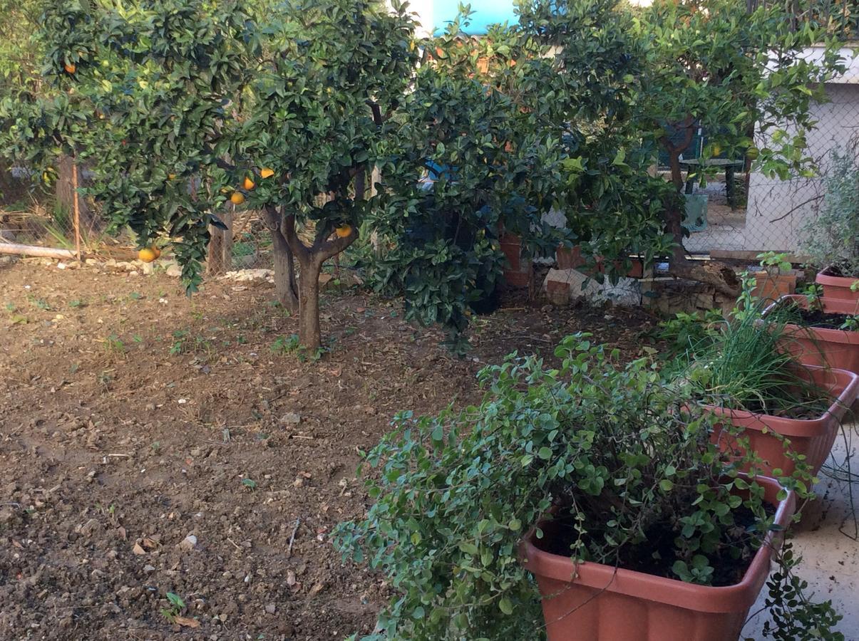 Ifioridisicilia Bed and Breakfast Campofelice Di Roccella Εξωτερικό φωτογραφία