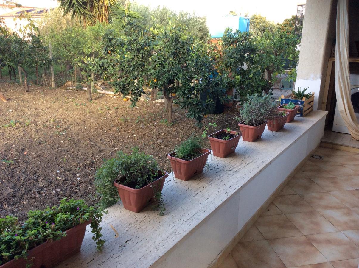 Ifioridisicilia Bed and Breakfast Campofelice Di Roccella Εξωτερικό φωτογραφία