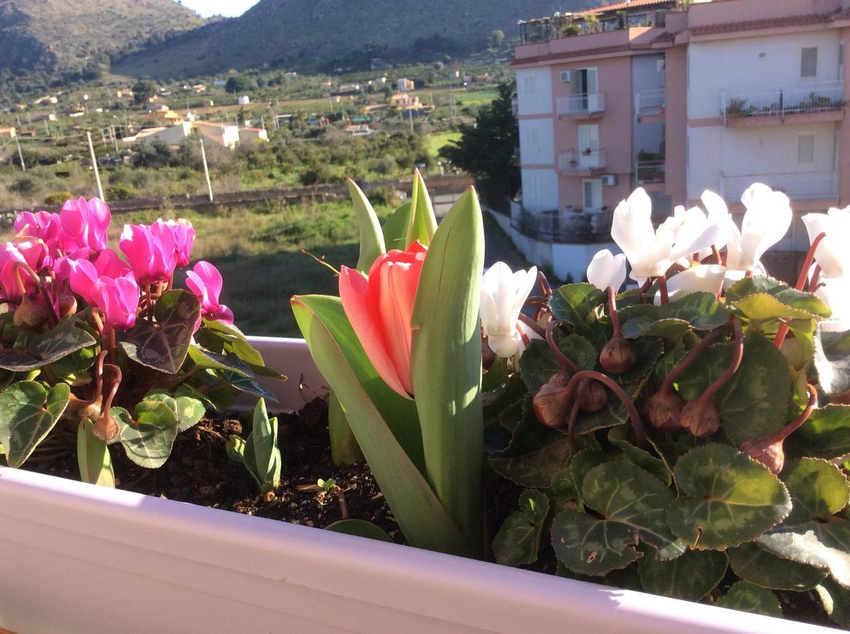 Ifioridisicilia Bed and Breakfast Campofelice Di Roccella Εξωτερικό φωτογραφία